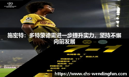 施密特：多特蒙德需进一步提升实力，坚持不懈向前发展